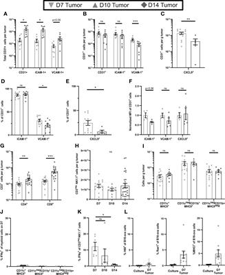 NK cells reduce anergic T cell development in early-stage tumors by promoting myeloid cell maturation